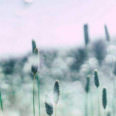 足球滚球的正规平台app下载手机版